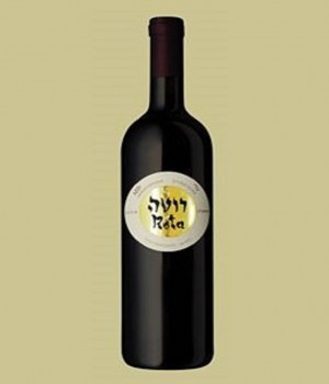 עדי 2012 קדימה8